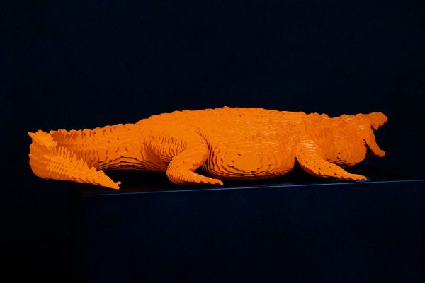 Croco - Jean Paul Kala