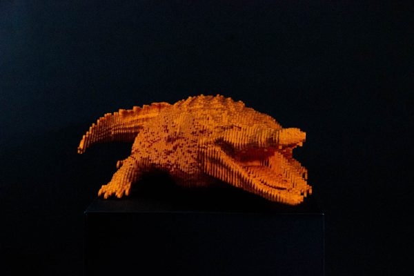 Croco - Jean Paul Kala