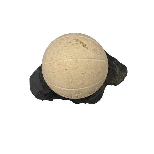 NBA Basketball Spalding - Josselin Kayser