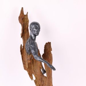 Ténacité - Romain Tiercin