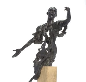 La Plaidoirie - Romain Tiercin