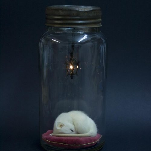 Taxidermy Kilner Jar Lamp Little Lives Dream - Rachel Ann Stevenson